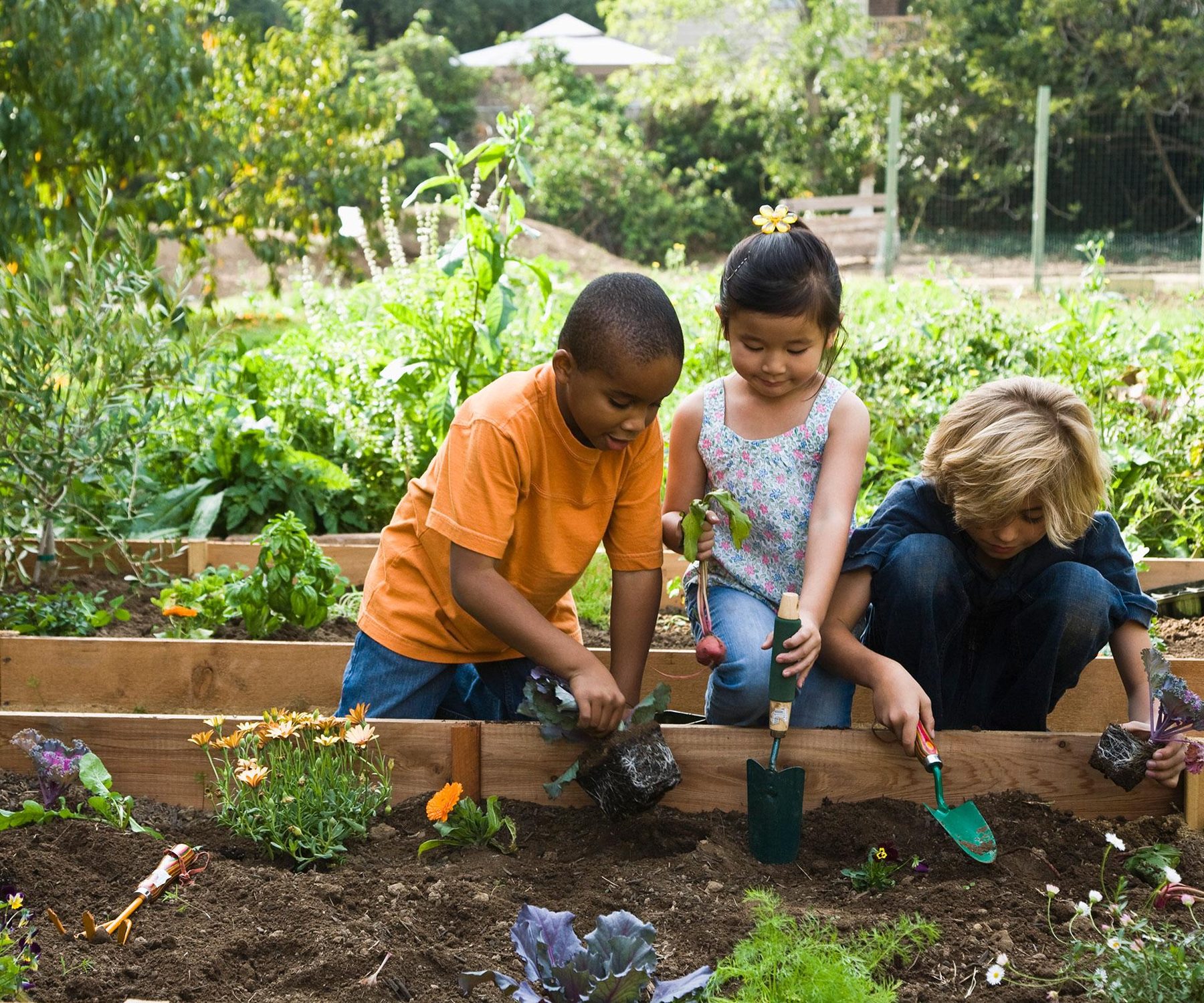 Children planting and learning together in a garden